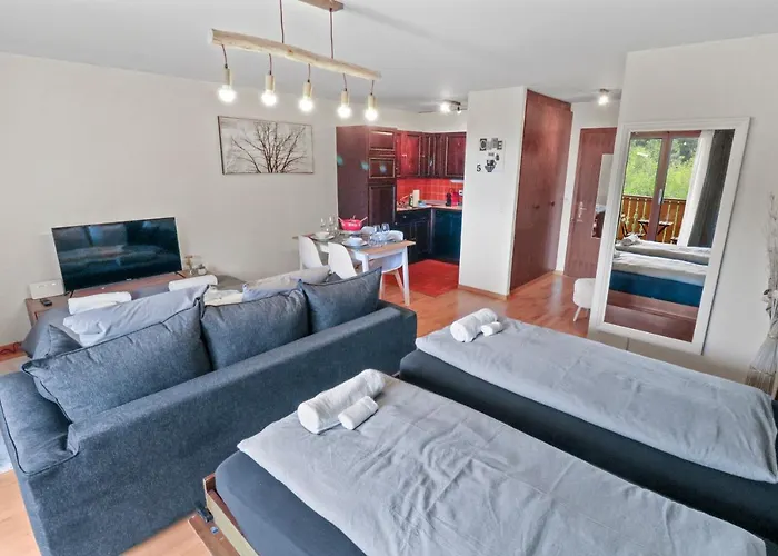 Daire Joli Au Centre